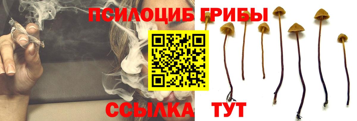 Галлюциногенные грибы Magic Shrooms Электросталь